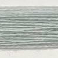 3019